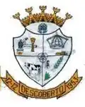 Brasão de armas de Descoberto