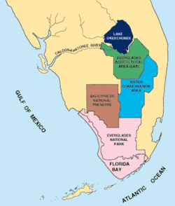 Um mapa colorido da terça parte inferior da península da Flórida mostrando o lago Okeechobee, compartimentos estabelecidos pelo Projeto de Controle de Inundações da Flórida Central e do Sul, e o Parque Nacional dos Everglades