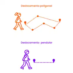 Infográfico que compara e ilustra o movimento poligonal, feito por mulheres, e o movimento pendular, feito por homens
