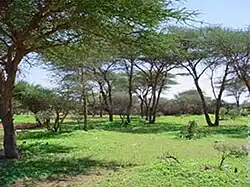 A zona rural de Dhahar