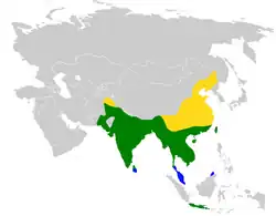 Área de distribuição Visitante de reprodução Presente durante o ano todo Visitante de inverno