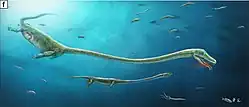 Reconstrução da vida do Dinocephalosaurus LPV 30280, mostrado comendo um peixe perleidídeo e carregando um embrião.