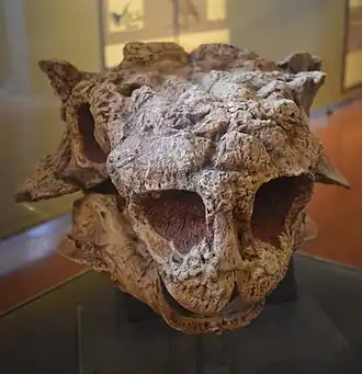 Um molde do espécime PIN 3142/250, o holótipo de T. teresae.