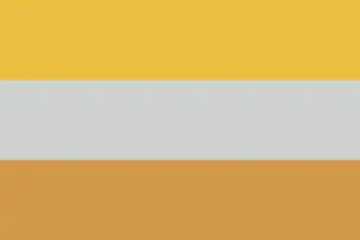 Bandeira da deficiência