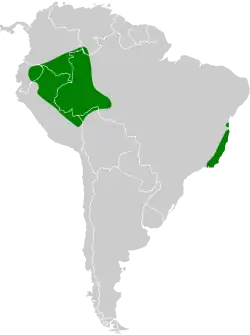 Distribuição do rabo-de-espinho-de-barriga-preta
