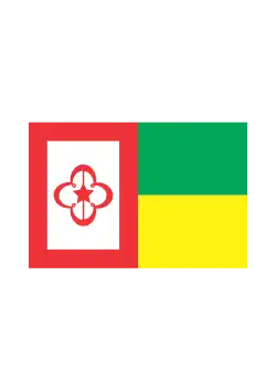 Bandeira-Insígnia do Comandante da ESA