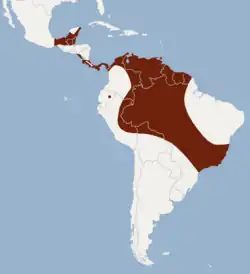 Distribuição de Lampronycteris brachyotis