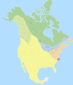 Distribuição do lobo-oriental em azul.