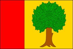 Bandeira de Dobrochov
