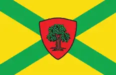 Bandeira de Dokuchaievsk