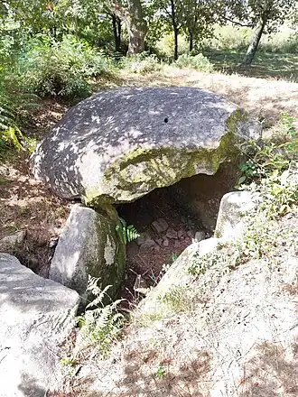 Dolmen de Lamoso