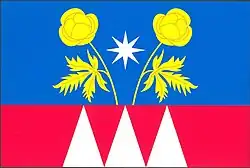 Bandeira de Dolní Těšice