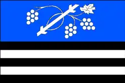 Bandeira de Dolní Bojanovice