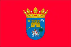 Bandeira de San Martín de Unx