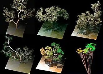 Os padrões de crescimento de certas árvores lembram os fractais do sistema-L