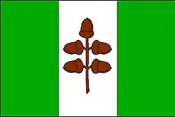 Bandeira de Dubňany