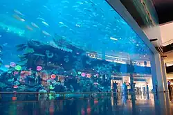 Aquário do shopping (Dubai Aquarium and Discovery Centre)