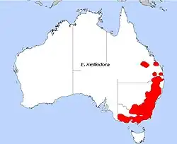 Distribuição de campo de E. melliodora