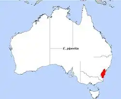 Distribuição de campo de E. piperita