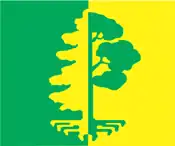 Bandeira oficial de Paikuse