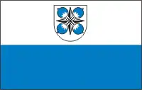 Bandeira oficial de Aegviidu