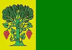 Bandeira de Póvoa do Brolhão