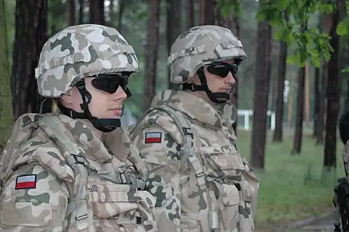 Capacetes wz. 2000 com cobertura de tecido na versão desértica do wz. 93 Pantera, 2005.