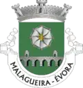 Brasão de armas de Malagueira