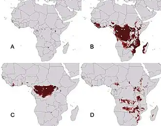 Distribuição da ébola nos mapas C e D.