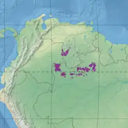 Mapa mostra a distribuição de campinaranas. A distribuição é fragmentada nos estados brasileiros do Amazonas e Roraima, e partes do sul da Venezuela e leste da Colômbia
