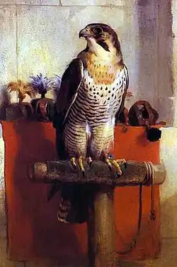 Falcão, 1837