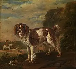 Um spaniel (1653)