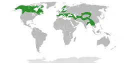 Distribuição natural da família Elaeagnaceae.