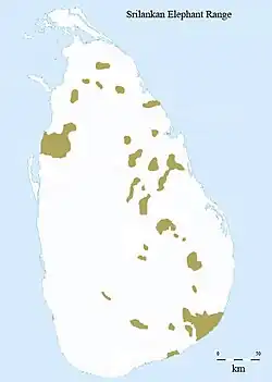 Distribuição do elefante do Sri Lanka
