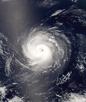 imagem ilustrativa de artigo Furacão Elida (2008)