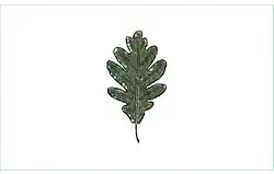 Bandeira de El Robledo