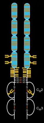 Estrutura química de Etanercepte