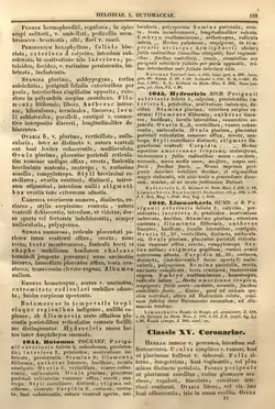Página 129 de Genera Plantarum de Endlicher, descrevendo Coronariae