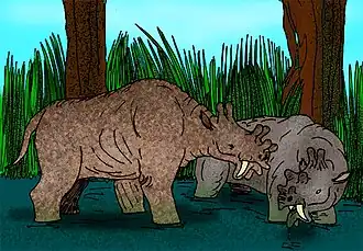 Eobasileus (esquerda) e Uintatherium(direita)