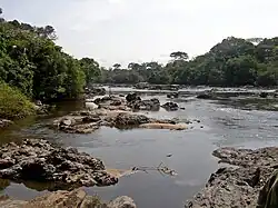 O Rio Epulu dentro da Reserva de Fauna dos Ocapis, no nordeste da República Democrática do Congo.