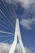 O mastro da ponte.