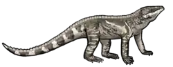 Erpetosuchus granti