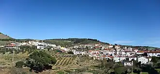 Ervedosa do Douro