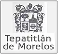 Brasão de armas de Tepatitlán de Morelos