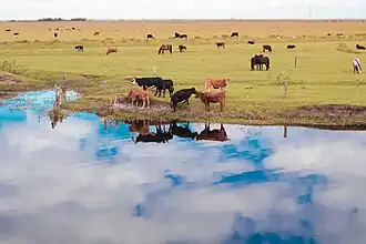 File:Estação Ecológica do Taim por Gabriela Delcin Pires (03).jpg