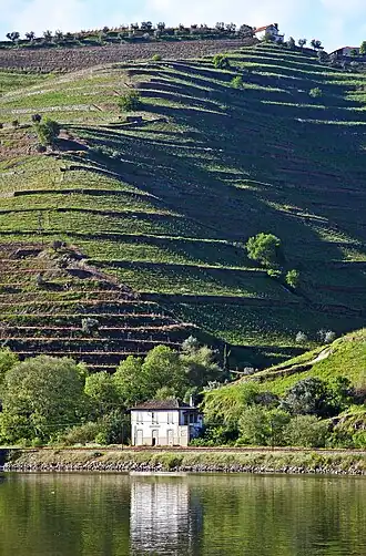 Estação Ferroviária de Gouvinhas