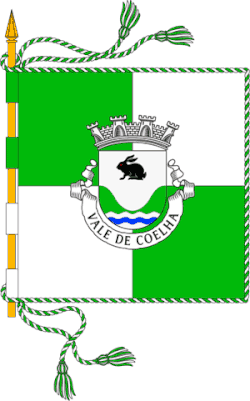 Bandeira de Vale de Coelha