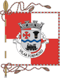 Bandeira de Vilar Formoso