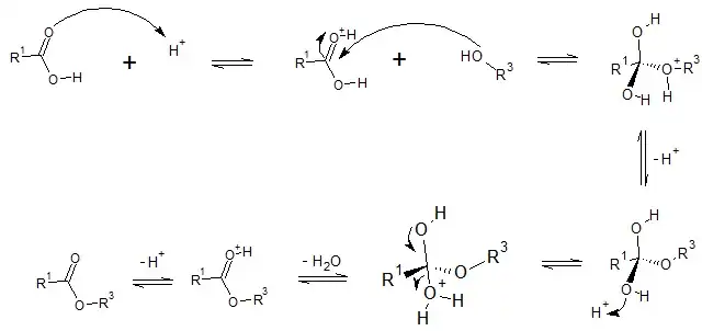 Mecanismo de esterificação
