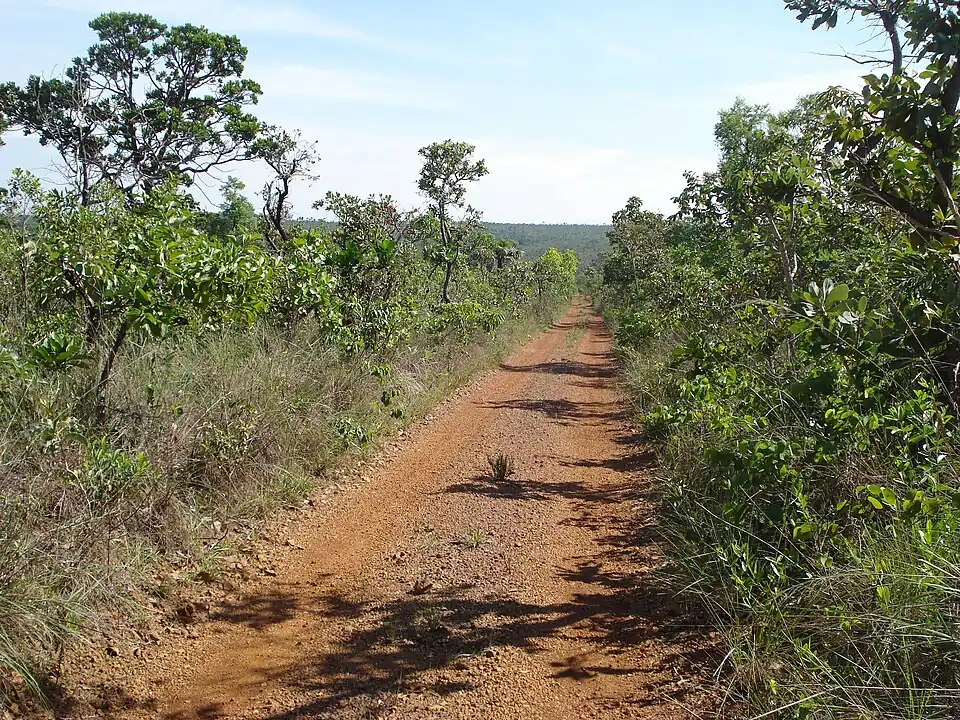 Estrada cruzando Cerrado sensu stricto na Reserva Ecológica do IBGE